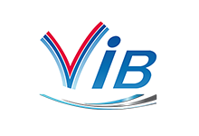 logo de l'entreprise vib